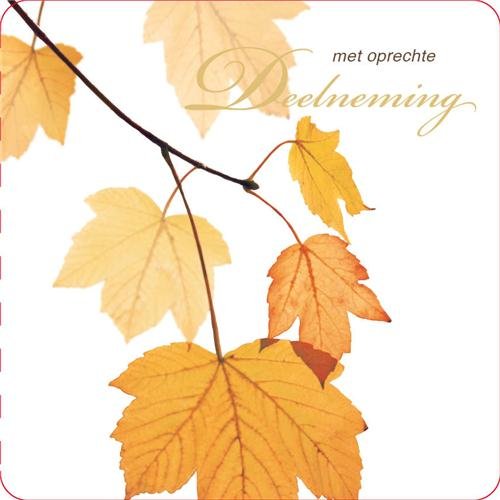 graceful-sympathy-deelneming-grs24-3241-large.1280x0