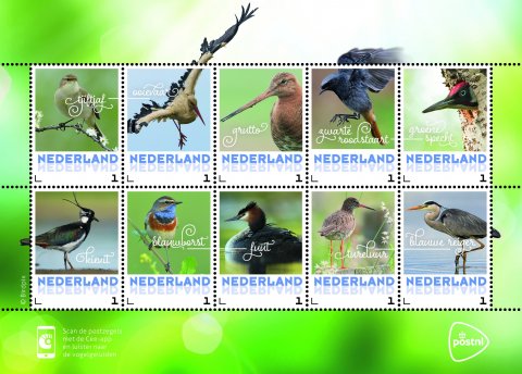 postzegelvel-vogels-lente.480x0